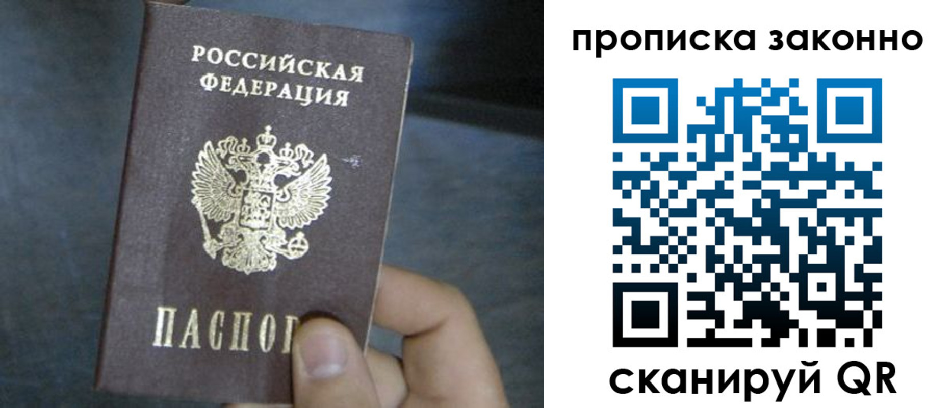прописка в квартире в Фрязино